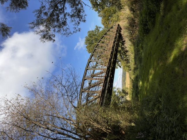 IMG_3277