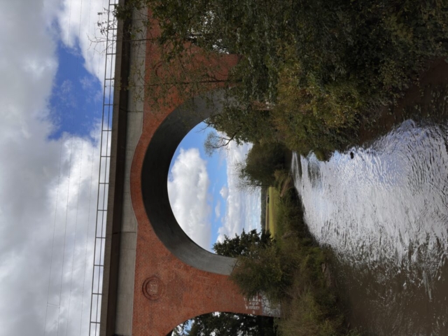 IMG_3338