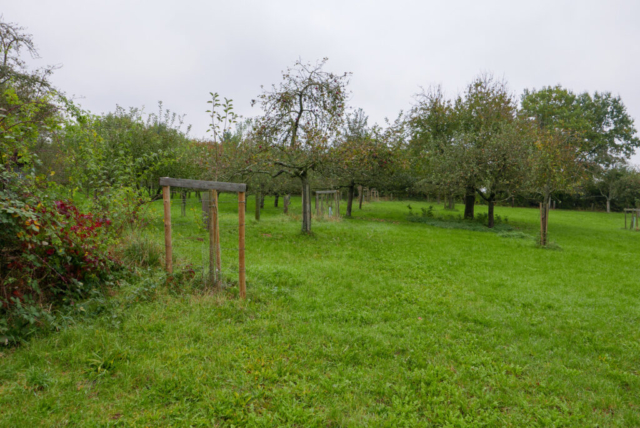 Foto: Maik Braun - Streuobstwiese Foto: Maik Braun - Streuobstwiese